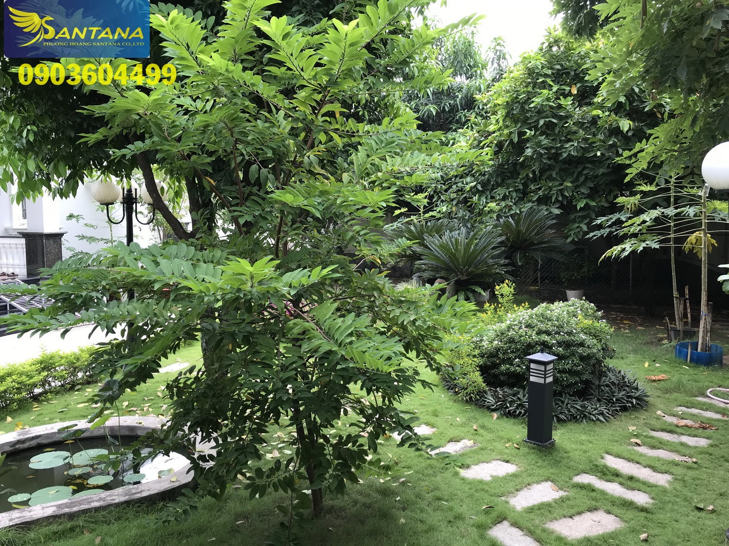 Siêu B.thự(căn góc) VƯỜN THƯỢNG UYỂN 25x26=650m2 nội bộ12m H.Tấn Phát